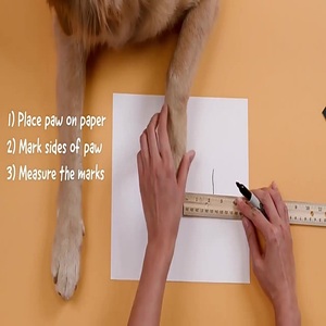 Accesorios para mascotas, calcetines personalizados para interiores y exteriores para perros, protección antideslizante para patas, ropa para cachorros, calcetines para mascotas - Product Image 6