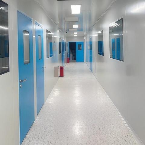 Panels Sandwich Laboratory Class 10000 Design Isolation Ceiling Construction Rock Wall Iso 8 Customized Wool Clean Room