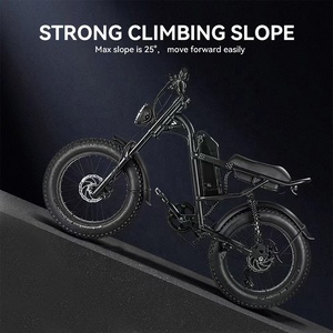 Mỹ EU Cổ 500W 750W Xe Đạp Điện Miễn Phí Vận Chuyển Chất Béo Lốp Elektrische Fatbike Xe Đạp E-Xe Đạp Leo Núi Tuyết Off Road 20 Inch Z8 - Product Image 3