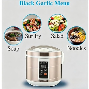 AZK-186-3 Pot de Fermentation Intelligent Multifonctionnel en Acier Inoxydable Grande Capacité 6L Certifié CE CB avec Prise de <span class=keywords><strong>Tension</strong></span> Colorée - Product Image 4
