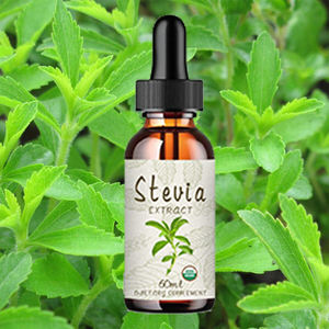 العلامة الخاصة ستيفيا استخراج ستيفيا قطرات التحلية السائلة قطرات ستيفيا - Product Image 3