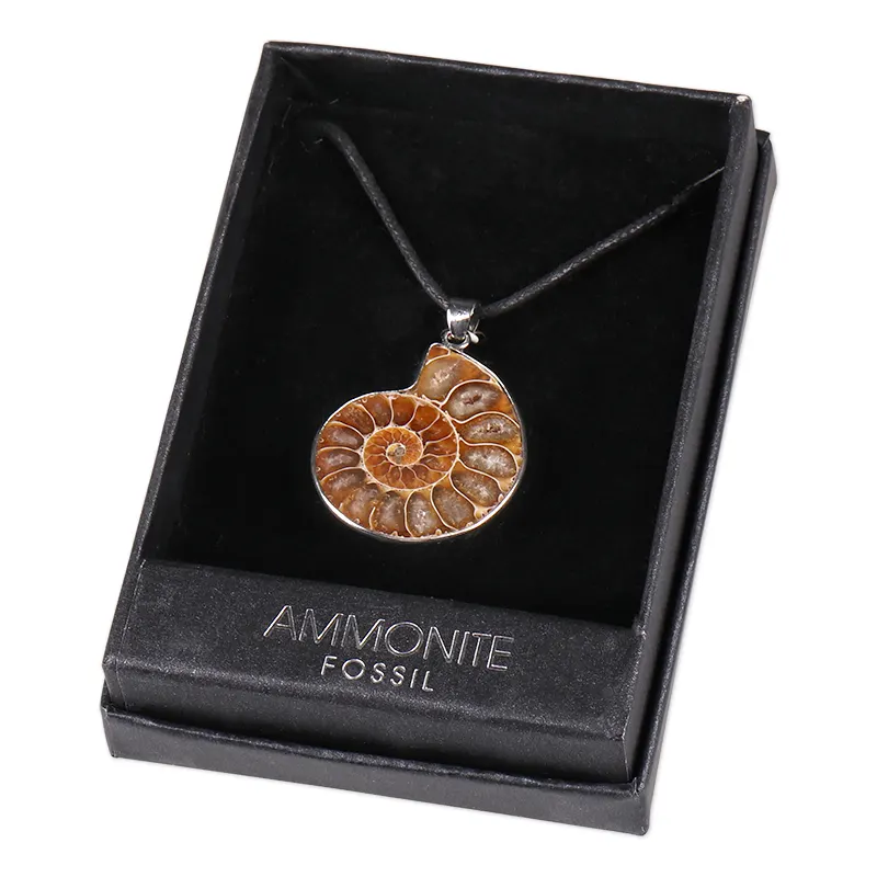 Natural Conch Shell Slice Fossil Ammonite Pendant Necklace Jewelry Silver Plate for Women Men Gift