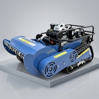Nouvelle Arrivée Tondeuse Robotisée Mini Ferme à Fléaux 800mm 1000mm 1200mm RC Diesel sur Chenilles pour la Coupe de l'Herbe