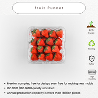 Pasokan pabrik blister transparan hewan peliharaan 1000g kotak paket buah blueberry clamshell wadah hewan peliharaan 170g plastik blueberry punnet