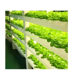 Automatic Hydroponic system 40ft Shipping Container Farm Plant Factory for Hydroponic Grow