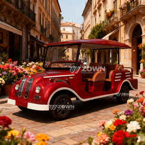 Auto Clásico de Lujo Rojo de Alta Gama, con Colores Opcionales y Logotipos Personalizables - Product Image 5