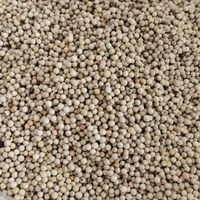 Bai Hu Jiao Indonesische Witte Peperkorrels Witte Peper Hele Vrucht Voor Kruiden
