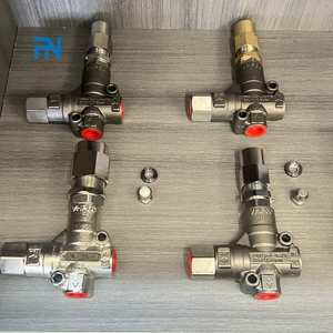VHP60C (316) <strong>Pressure</strong> <strong>Regulator</strong> 100L/min 600bar High-<strong>pressure</strong> Washing Spare Parts Relief Valve Unload Valve - Product Image 3