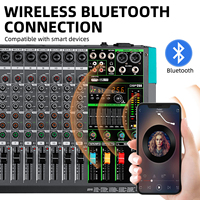 Console de Mixage Audio Professionnelle Biner PA12 12 Canaux avec 256 Effets DSP Intégrés pour DJ
