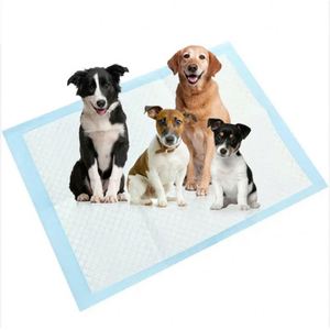 Tapis d'apprentissage pour chiots XL noirs au charbon de bois - Product Image 5