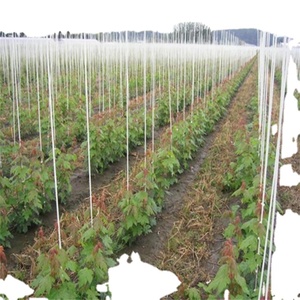 FRP Fiberglass <b>Stick</b> for Plant Support and Climb - Product Image 3