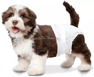 Pañales Desechables para Cachorros, Impermeables, Absorbentes de Orina, para Entrenamiento de Mascotas, Talla XS, OEM, Venta al por Mayor - Product Image 6