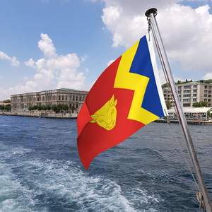 Produits promotionnels personnalisés 3*5ft100% polyester couleur vive résistant à la décoloration solide durable drapeau <span class=keywords><strong>Birmingham</strong></span> City - Product Image 3