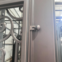 Portes d'entrée en fer forgé doubles et simples, style à ouverture battante, avec vitrage pour la maison principale