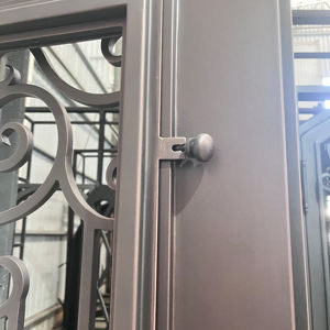 Portes d'entrée en fer forgé doubles et simples, style à ouverture battante, avec vitrage pour la maison principale - Product Image 4
