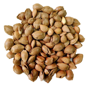 Semillas de almendras naturales secas horneadas nuevas de alta calidad con cáscaras rotas para alimentos - Product Image 1