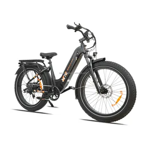 US Warehouse Only Mountain Ebike 500 Watt Electric Bike For Cargo