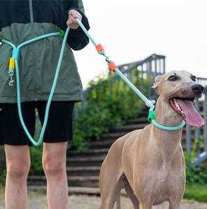 طوق وحبل للكلاب من النايلون الملون مع خطافين، حزام متعدد الوظائف بدون استخدام اليدين مع مقبض من الفوم الناعم EVA، حزام للحيوانات الأليفة مضاد للانفجار مع سلسلة P - Product Image 4