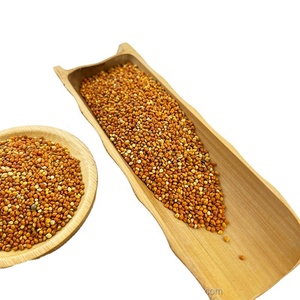 Nouvelle récolte, approvisionnement direct usine, <span class=keywords><strong>millet</strong></span> rouge en coque de haute qualité à prix abordable - Product Image 2