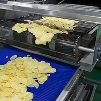 Ligne de production de chips de pommes de terre fraîches d'une capacité de 200kg Machine de fabrication de chips de pommes de terre à haut rendement