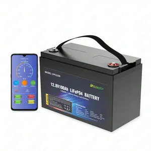 แบตเตอรี่ลิเธียมโซลาร์แบบกำหนดเอง 12V 100ah 120Ah 150Ah 200Ah 300Ah 400Ah รุ่น LFP12100 แบตเตอรี่ 12v - Product Image 5