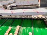 Machine de tri automatique des œufs, trieuse de qualité des œufs, machine de tri des œufs de poule par taille et poids
