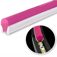 Lampu Neon silikon aman untuk anak, lampu Neon silikon aman tipe S tegangan rendah SMD2835 120LED/M 5V/12V untuk taman Poolside tahan air dekorasi