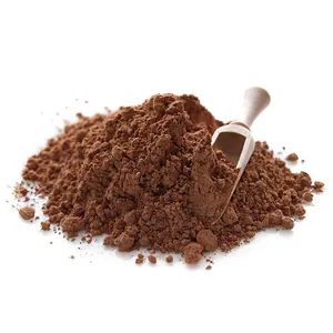 China Factory Price cocoa powder with 22 % fat