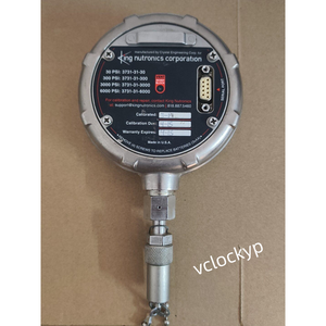 Manomètre numérique AMETEK Crystal XP2i Série 3KPSIXP2I 3000 PSI d'occasion - Product Image 2