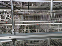 Fourniture de poulets de chair poulailler Type H capacité 80 poulets de chair Cages professionnelles galvanisées à froid philippines