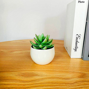 Planta Suculenta Artificial Qi Xing en Maceta de 11 cm, PVC Suave, Decoración para el Hogar - Product Image 1