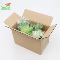 Assortiment de 11 petites plantes succulentes en plastique dans un décor floral vert floqué pour gâteau de fête,