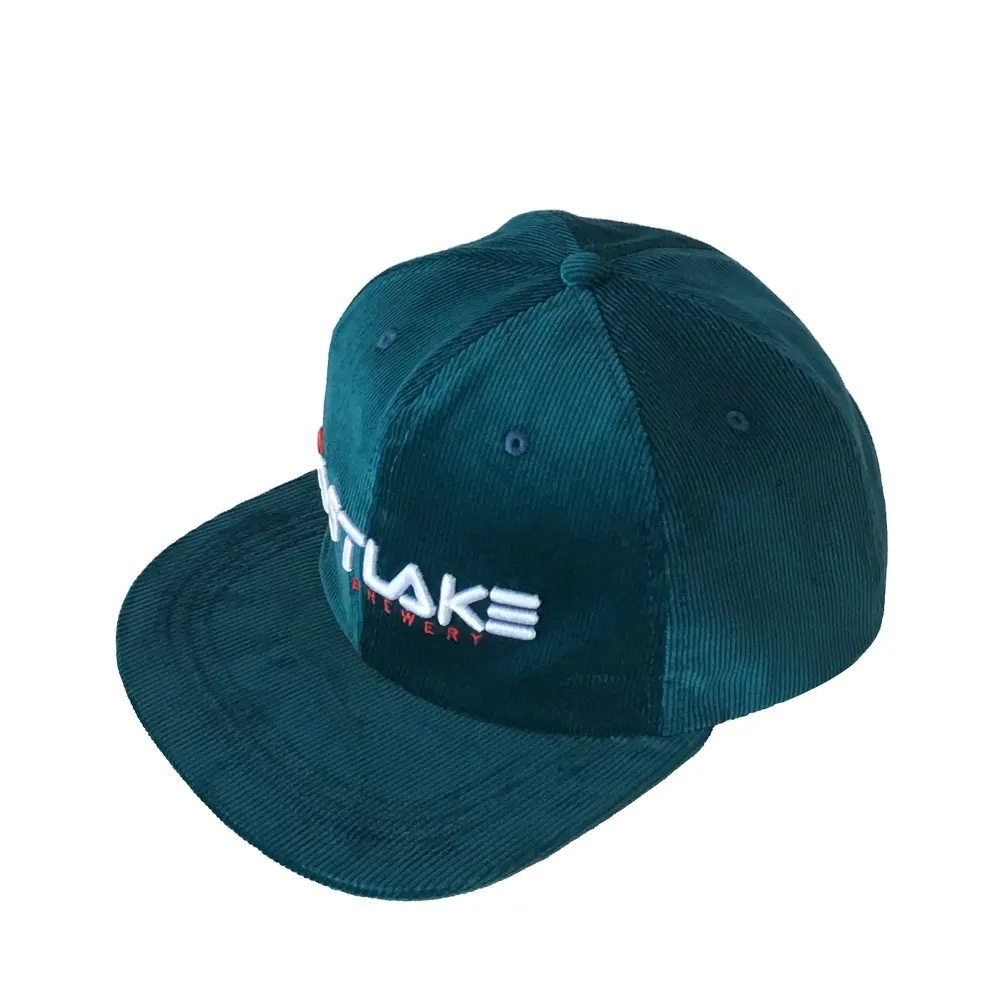 Moda tasarımı 5 panel kadife snapback şapka nakış marka formu şapka fabrikaları çin kadife şapka kapaklar