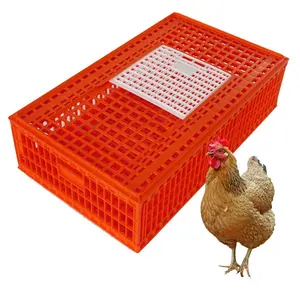 Caisse de Transport de poulet, 96CM, économique, Cages de Transport de volaille
