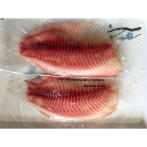 Filetes de Tilapia Congelados IQF a Granel, Sin Piel ni Espinas, 4-6 oz, Bajo Contenido de Glaseado, Importadores de Mariscos de Oriente Medio y África - Product Image 2