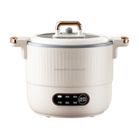 Mini-cuiseur à riz électrique 1,2 L avec minuterie numérique, micro-pression, multifonction pour riz, soupe et cuisson à la vapeur, idéal pour la maison, le bureau et les voyages