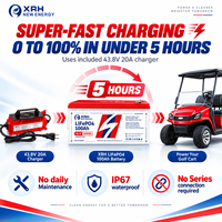 Kit de batterie au lithium LiFePO4 36V 100Ah avec chargeur et application Bluetooth pour chariot de golf et banque de batteries solaires