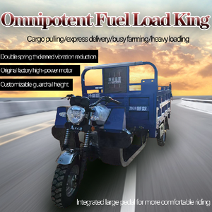 Heavy Agricultural Open Cargo Tricycle Thickened Steel Bed Single Cylinder 4-stroke <b>Gasoline</b> Motorized High Payload Capacity 43 - Product Image 5