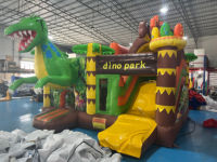 Toboggan aquatique gonflable commercial en PVC pour adultes, château gonflable 5,5x5m, utilisation en intérieur/extérieur, souffleur d'air Xinyue