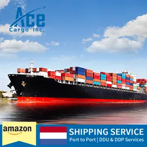 International ddp Sea Freight Shipping Company From China To Netherlands Freight Forwarder Shipping Agent