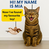 Vente en gros usine Nouveaux jouets pour chats interactifs intelligents, avec ailes battantes activées par le toucher, effet d'oiseau, rechargeables USB, pour l'exercice des animaux de compagnie