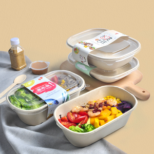 Bol à salade compostable écologique en pâte de bagasse de canne à sucre avec couvercle bol carré recyclable pour nouilles à sushi pour servir des aliments - Product Image 2