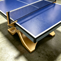 Kommerzieller Nicht Faltbarer Verstärkter Stahl-Einzelständer Tischtennistisch Umweltfreundlich Geruchlos für Training Individuelle Farbe