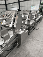 Machine à pâte commerciale, machine à nouilles, machine à rouler la pâte, machine à faire des enveloppes de raviolis, machine à faire des peaux de wontons en acier inoxydable