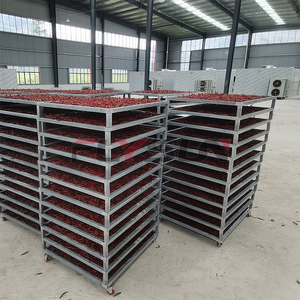 Industrial Chili <b>Drying</b> <b>Equipment</b> with PLC Control System for Dehydrating Fresh Chili fruit peppers and Other Vegetable - Product Image 4