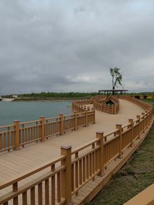 <span class=keywords><strong>Balustrade</strong></span> <span class=keywords><strong>en</strong></span> <span class=keywords><strong>bois</strong></span> antiseptique <span class=keywords><strong>de</strong></span> garde-corps <span class=keywords><strong>de</strong></span> porche <span class=keywords><strong>de</strong></span> <span class=keywords><strong>jardin</strong></span> extérieur imperméable et écologique <span class=keywords><strong>en</strong></span> WPC - Product Image 6