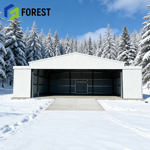 Hangar d'avion en structure acier industrielle au design moderne, assemblage facile pour avions légers, prix compétitif - Product Image 1