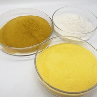 Cas aucun 1327 poudre du chlorure de polyaluminium 30 Pac charbon actif 25 kg/sac agent auxiliaire chimique de traitement de l'eau