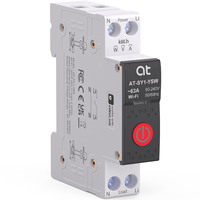 Disjoncteur intelligent mini WIFI EWELINK 1P 1-63A, contrôle à distance, mesure de la consommation, minuterie, protection contre les fuites 6kA, cuivre