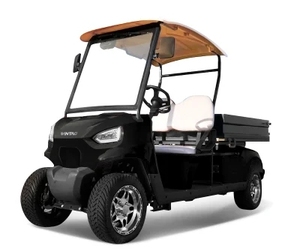 Voiturette de <span class=keywords><strong>golf</strong></span> électrique 2 places avec moteur 48V, portée de 90km pour le travail dans la cour, la chasse et les sports de plein air - Product Image 2